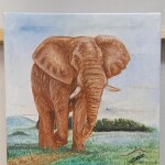 Elephant (Tembo) paintings